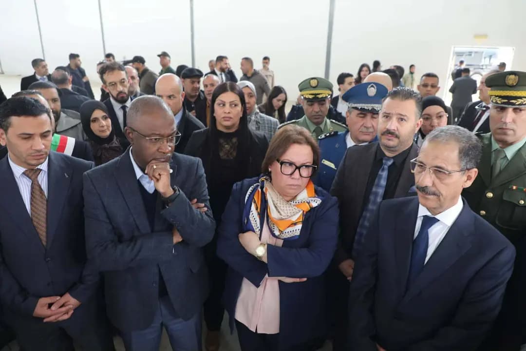 Jeunesse / Formation professionnelle