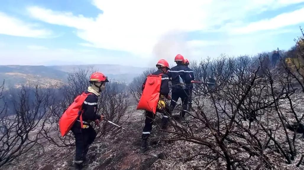 Extinction de 56 incendies sur un total 75 en 24h 