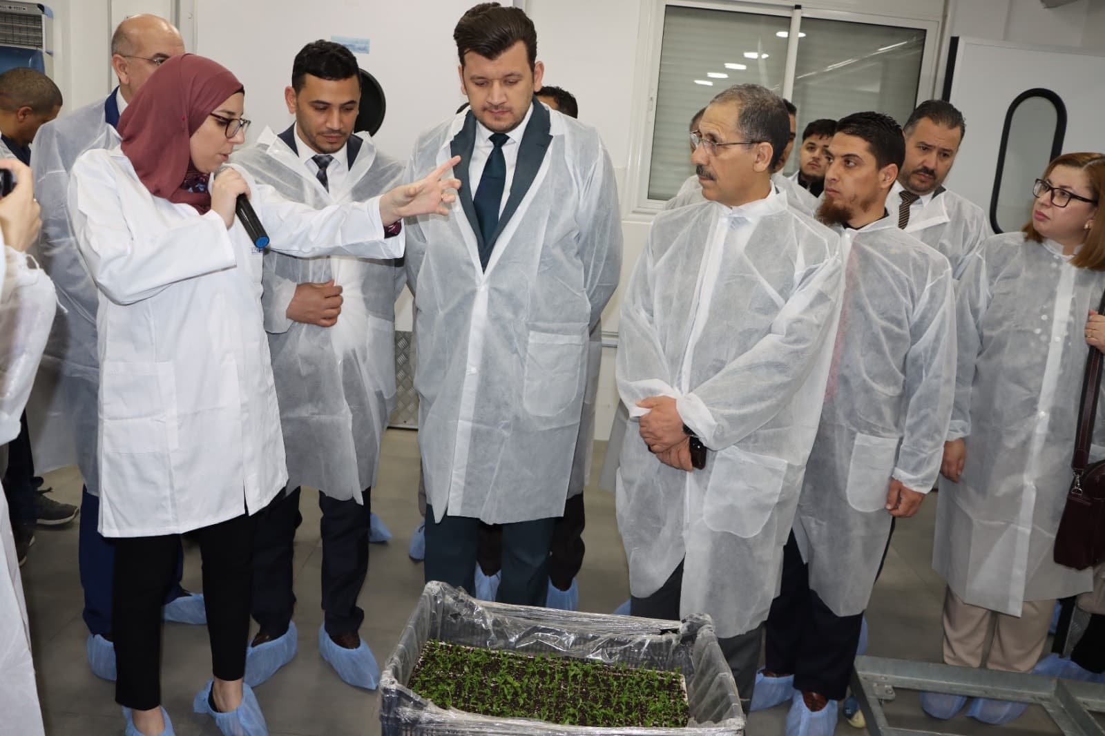 Un programme ambitieux pour renoncer progressivement à l’importation de semences et de plants