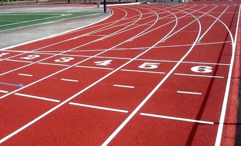 Semi-marathon international d’Alger 2025