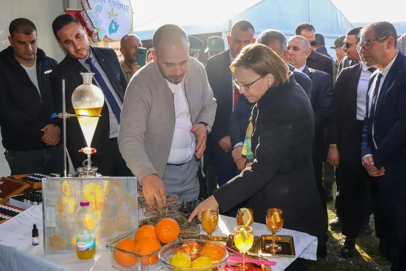 Krikou annonce la classification du massif de Collo en tant que parc naturel