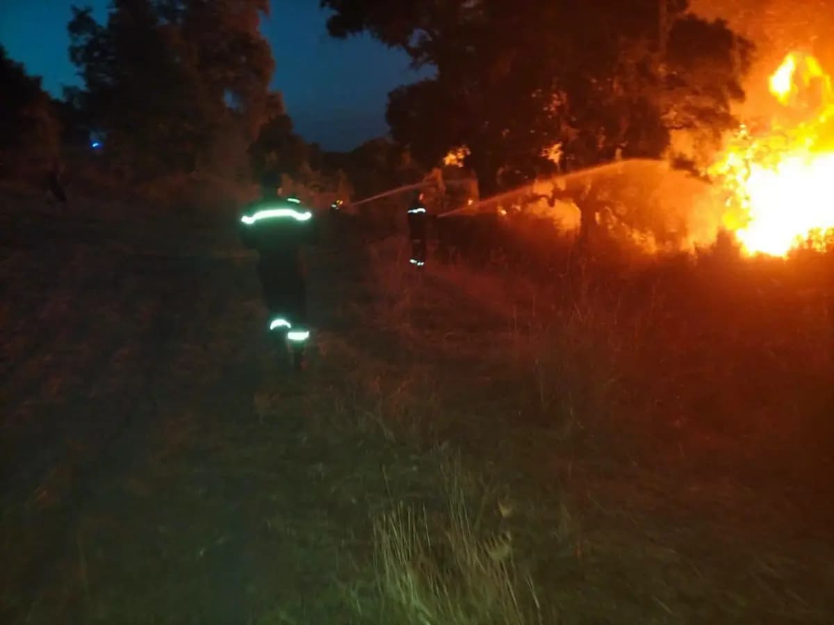Extinction de 147 incendies sur 193 jusqu'à jeudi matin