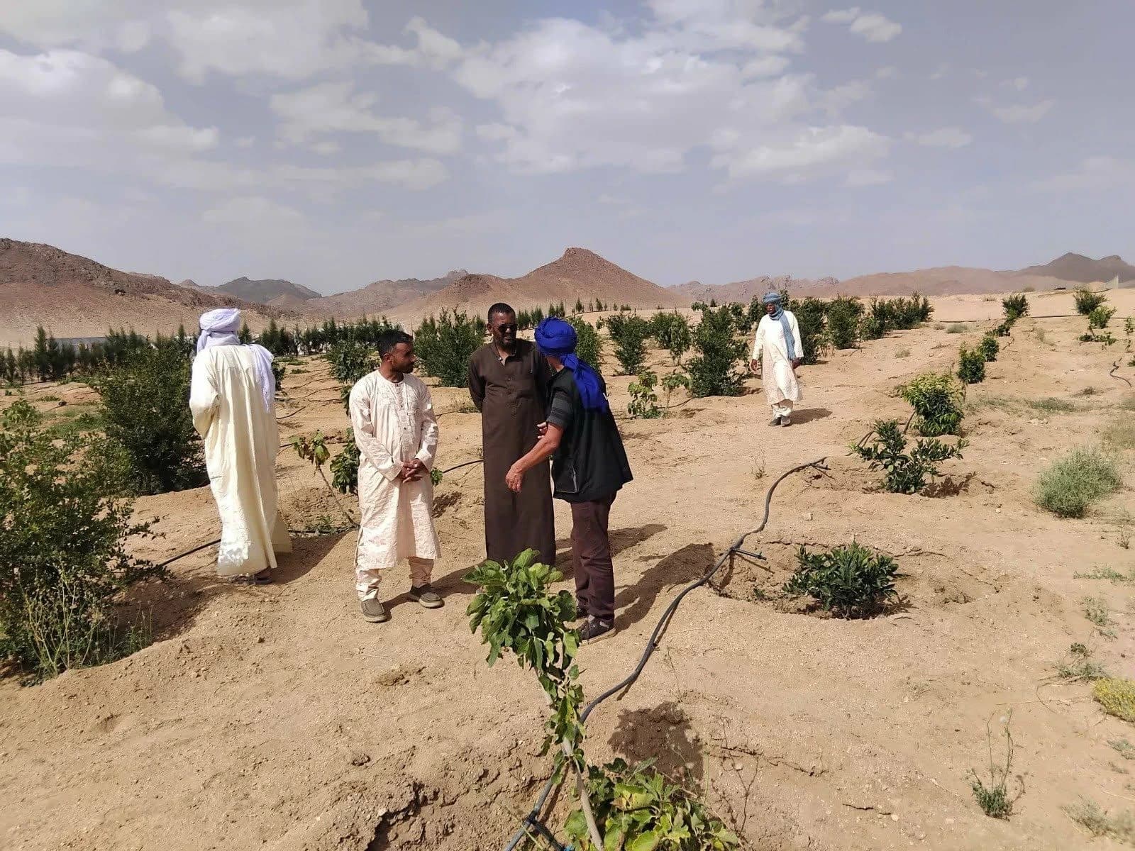 Des projets agricoles prometteurs à Tazrouk et une expansion remarquable dans l’arboriculture