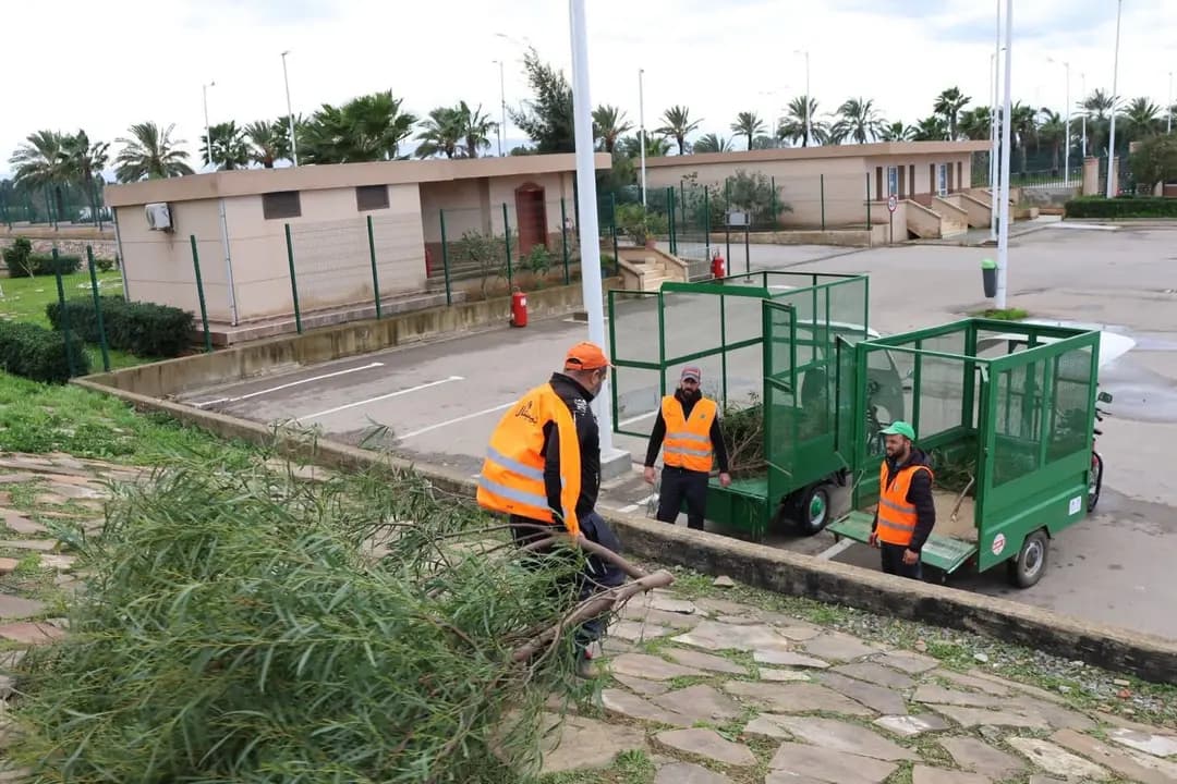 Nettoyage et entretien des espaces forestiers et parcs d'Alger en prévision de leur réouverture