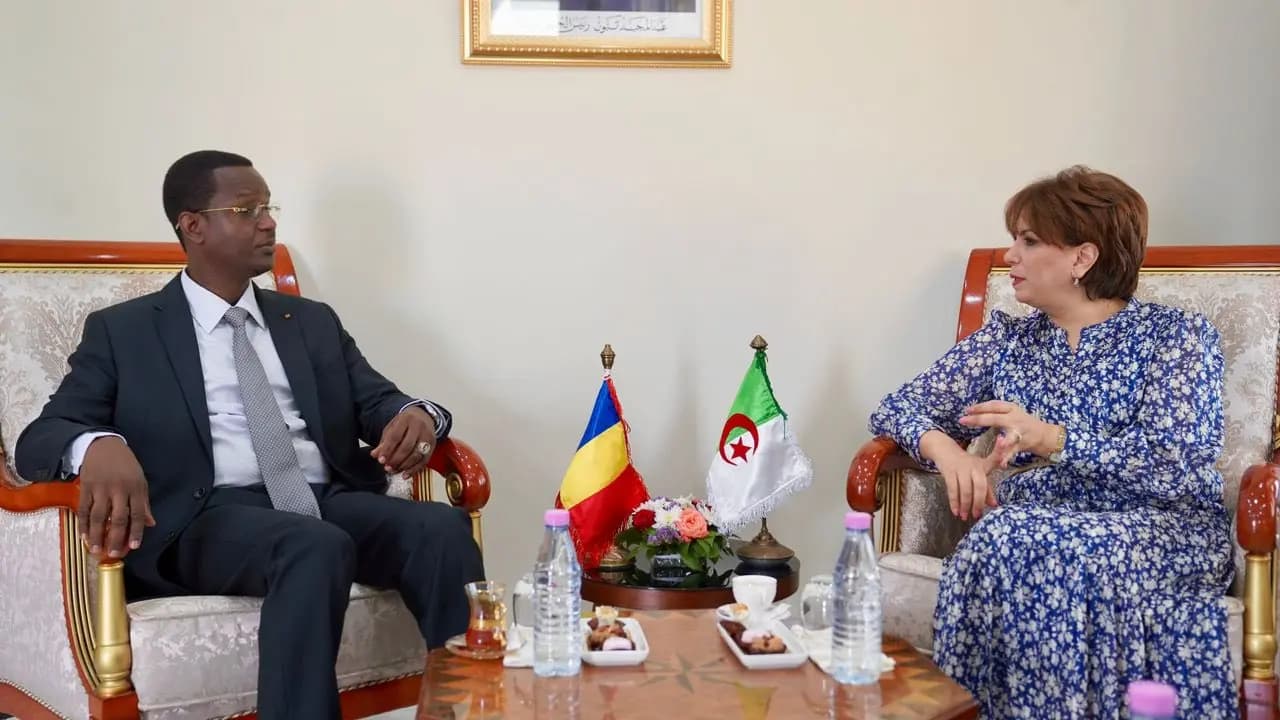 Examen des voies de promotion de la coopération culturelle et artistique entre l'Algérie et le Tchad