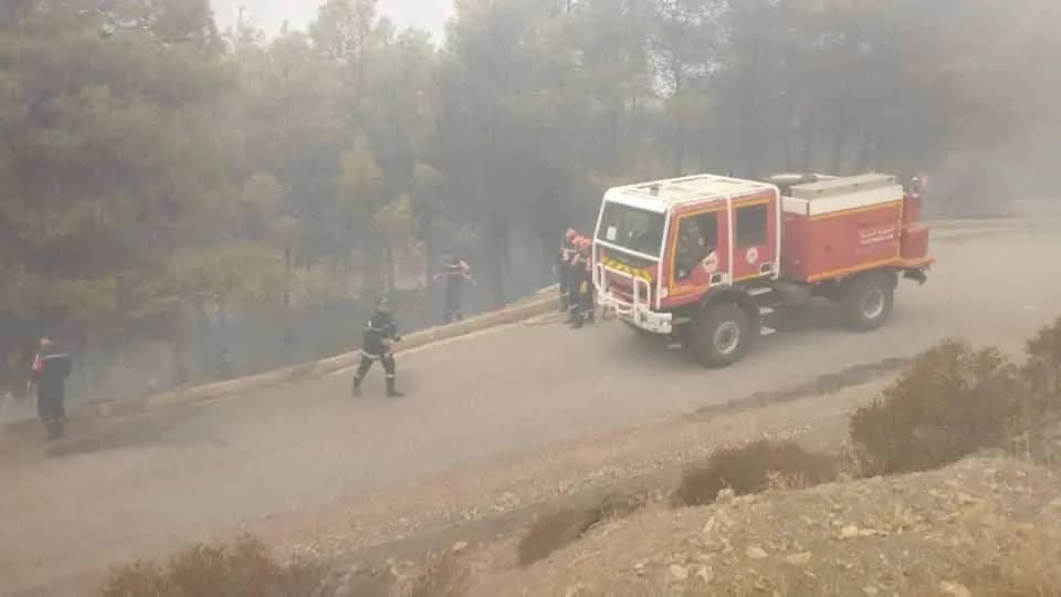 Extinction de 147 incendies sur 193 jusqu'à jeudi matin