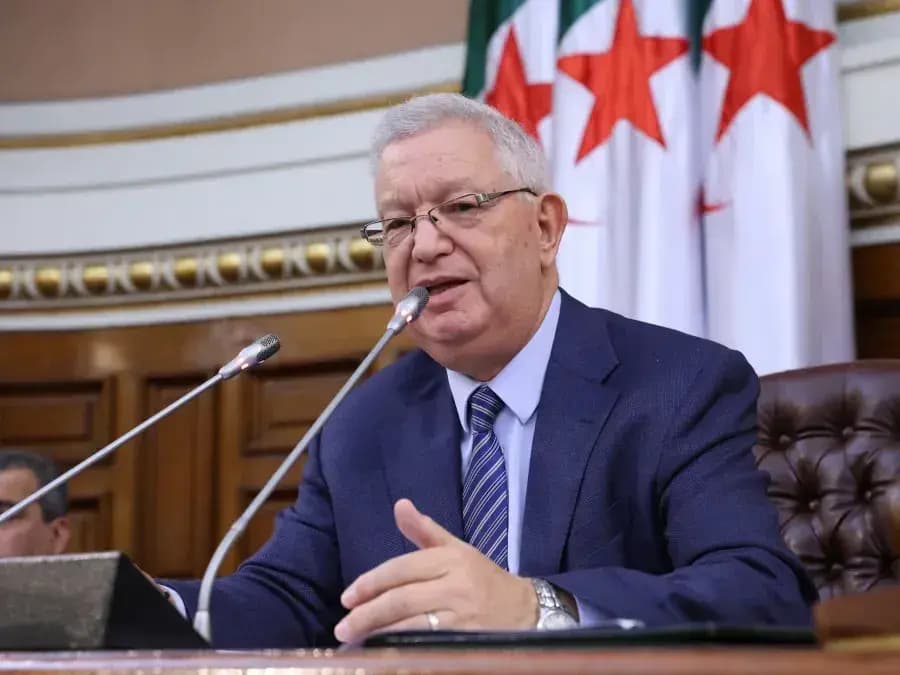 Nasri salue les décisions prises par le président de la République lors du dernier Conseil des ministres