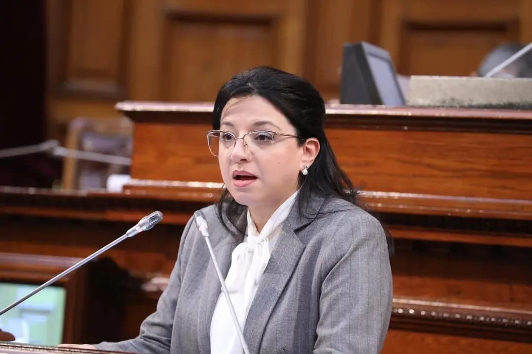 La ministre du Commerce intérieur présente le texte de loi relatif aux conditions d'exercice des