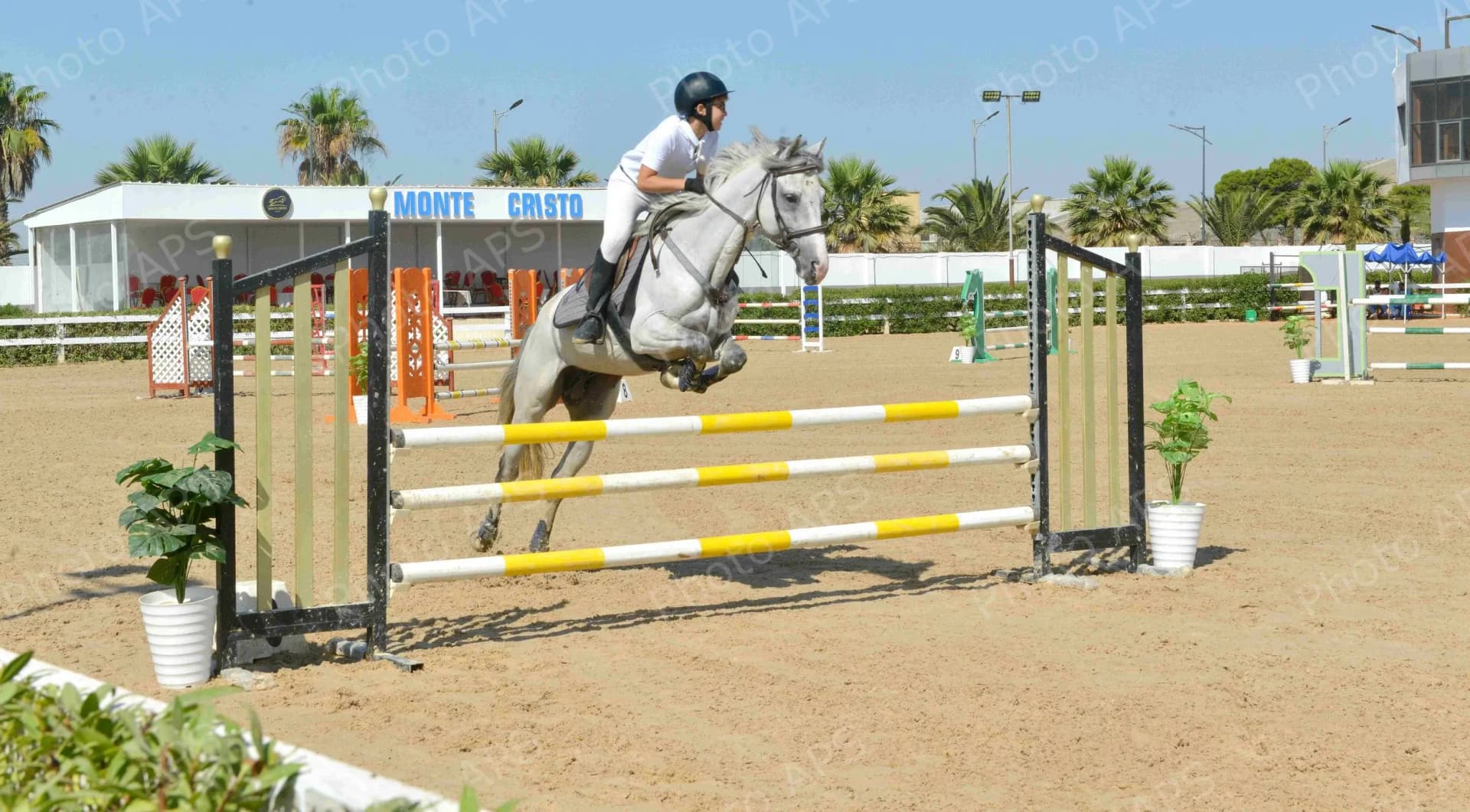Equitation : le Grand concours national de saut d'obstacles une et trois étoiles du 9 au 18 juillet à Oran