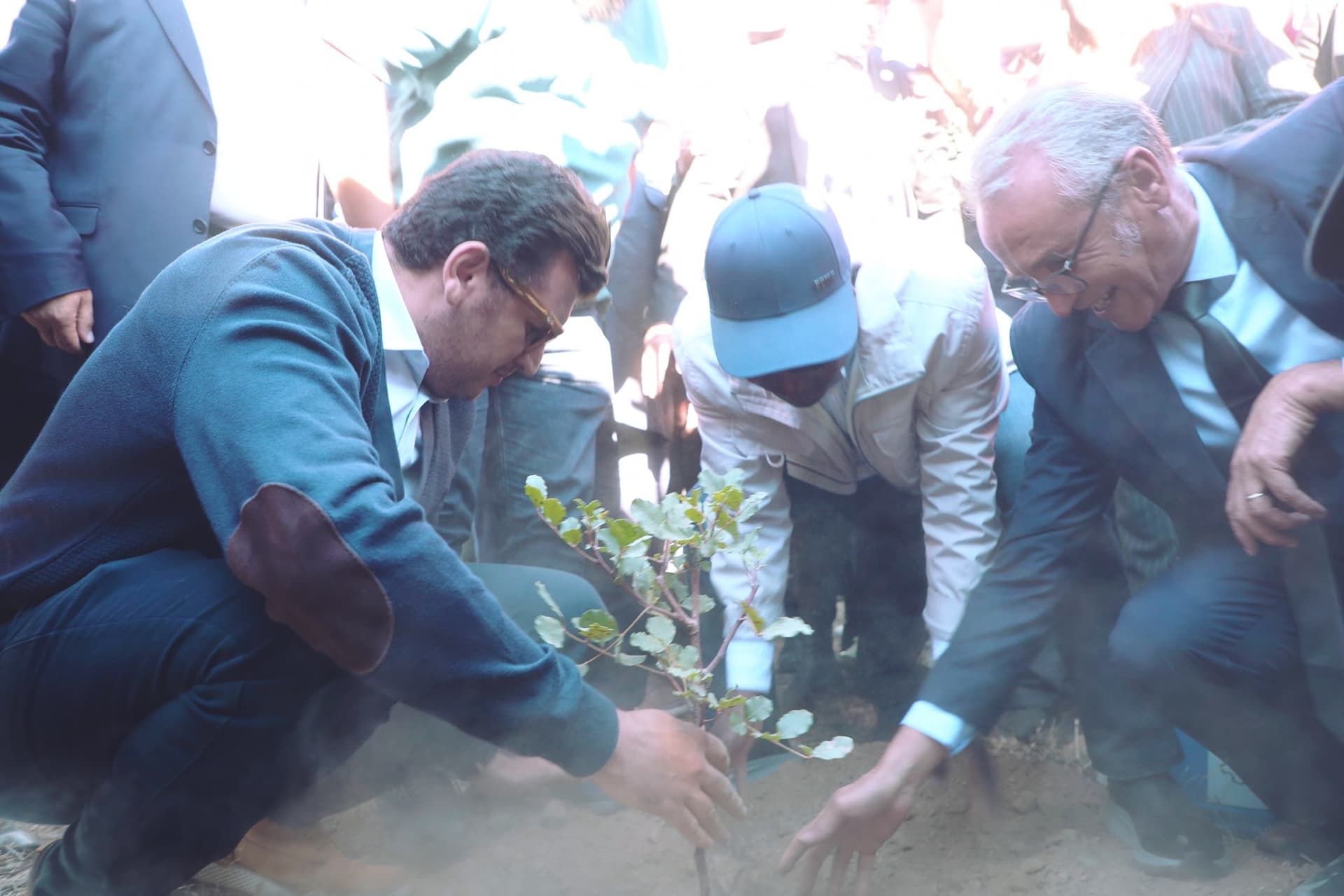Tizi-Ouzou: lancement de la campagne nationale de plantation d’un million d'arbres