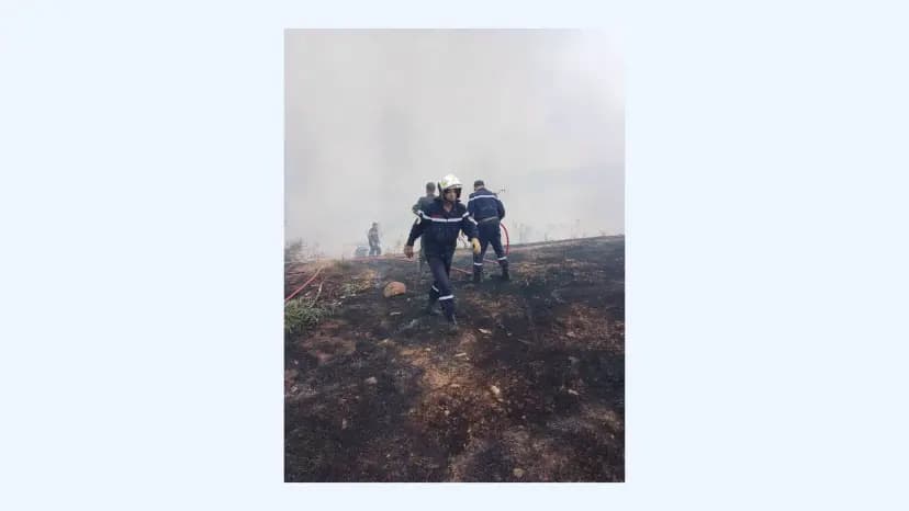Protection civile: extinction de 142 incendies sur un total 195 en 24h