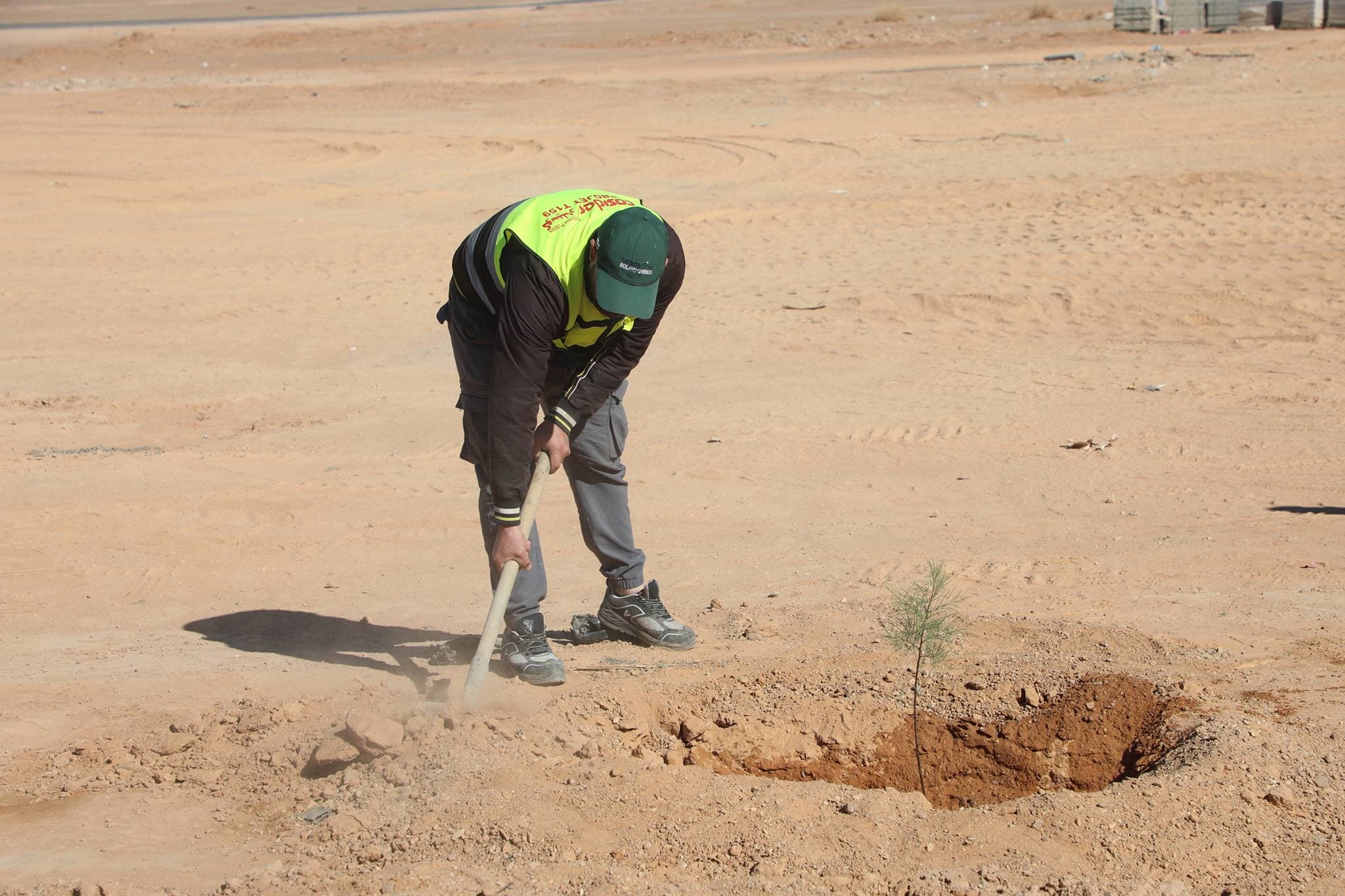 Le ministère de la Jeunesse poursuit sa grande campagne de plantation d'arbres le long de la ligne ferroviaire Béchar-Tindouf-Gara Djebilet