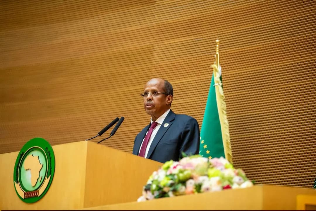 Le président de la Commission de l'UA insiste sur le principe des "solutions africaines aux problèmes africains"