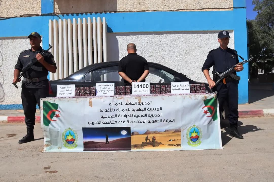 Saisie de quantités importantes de comprimés psychotropes à Laghouat, El Oued et Béchar