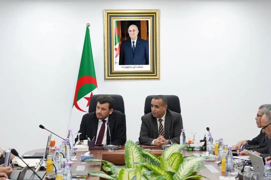 Adjal et Yacine Oualid évoquent l'état de raccordement des grands projets agricoles dans le Sud