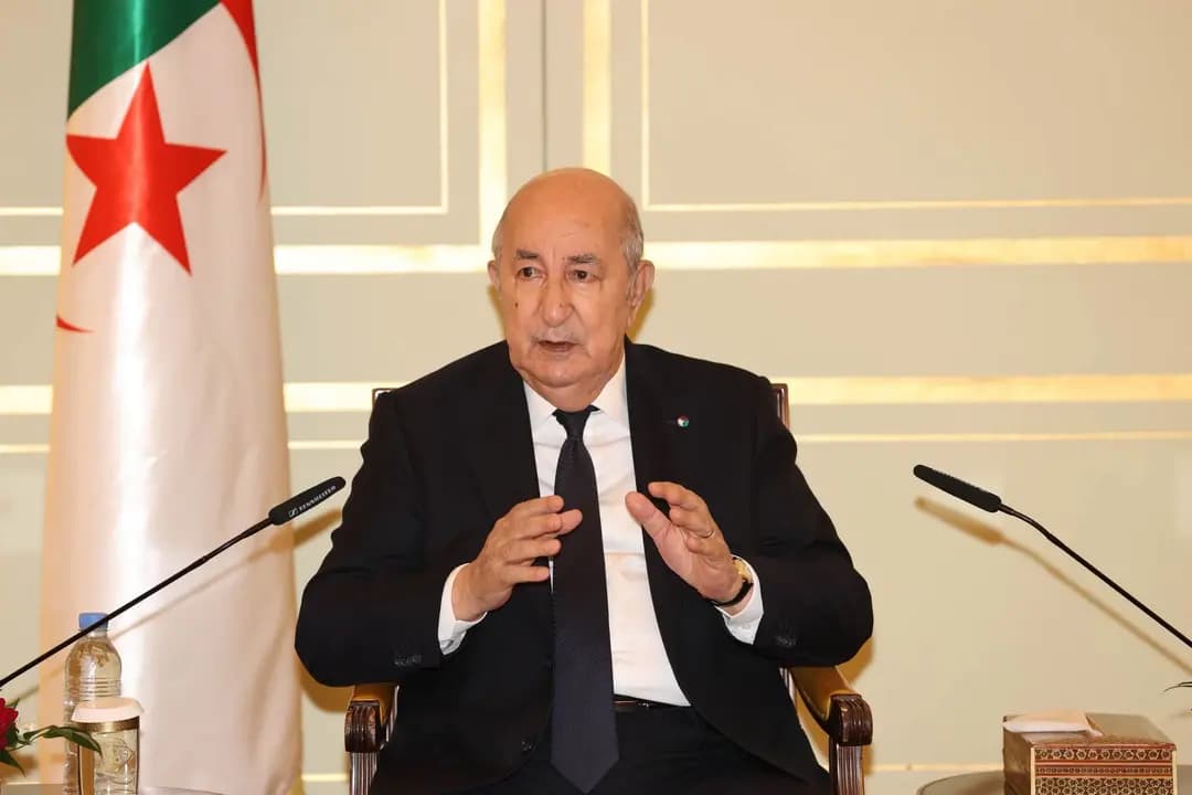 Nos partenariats avec l'Allemagne font de l'Algérie un leader dans des domaines importants et stratégiques