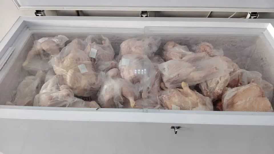 Mise en marché progressive d'une quantité importante de poulet congelé au prix de 330 DA/KG