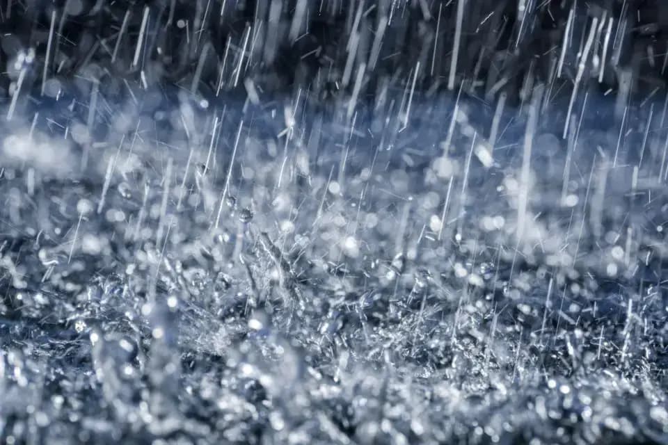 Averses de pluie à partir de mercredi après-midi sur plusieurs wilayas de l'Est du pays