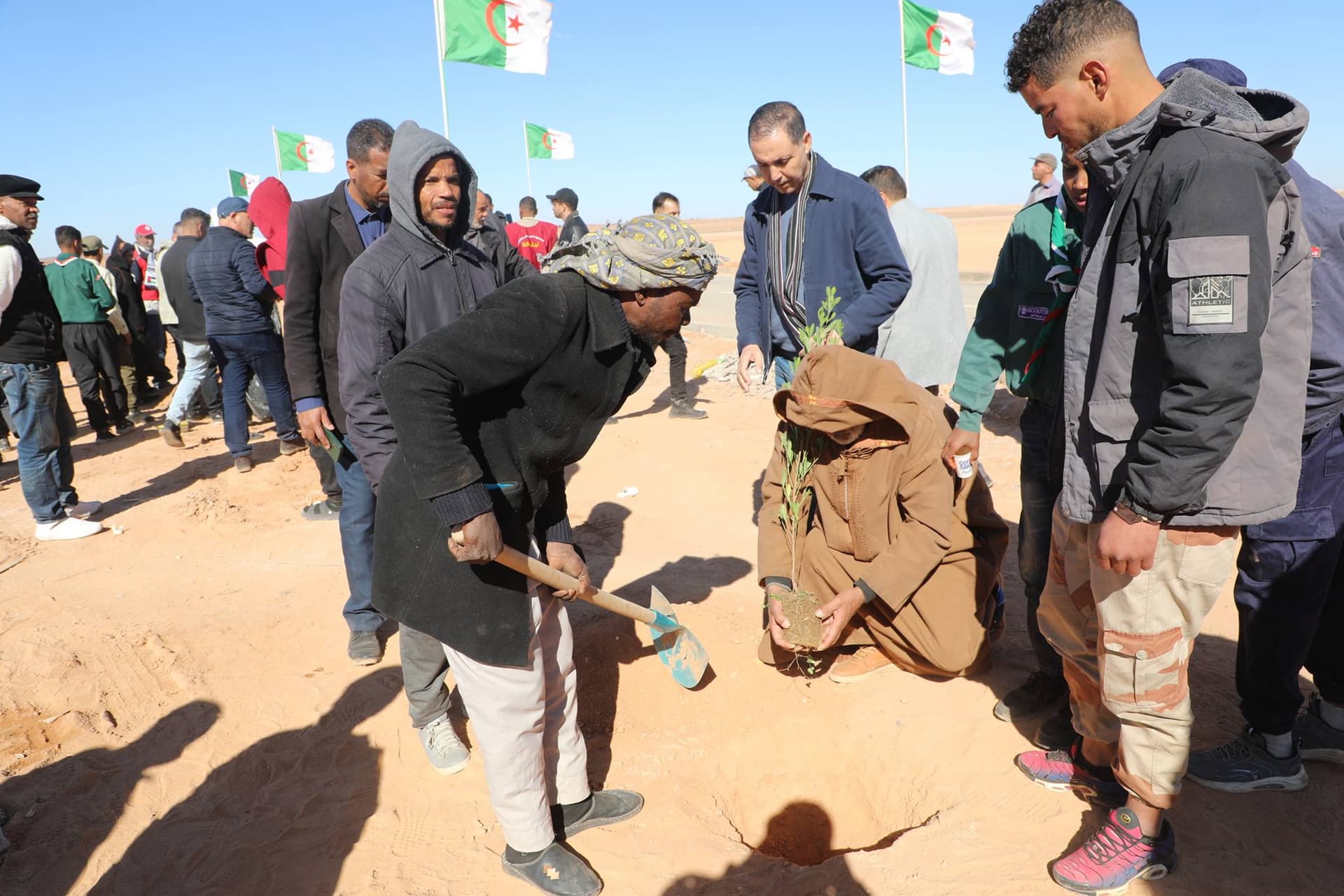 Le ministère de la Jeunesse poursuit sa grande campagne de plantation d'arbres le long de la ligne ferroviaire Béchar-Tindouf-Gara Djebilet