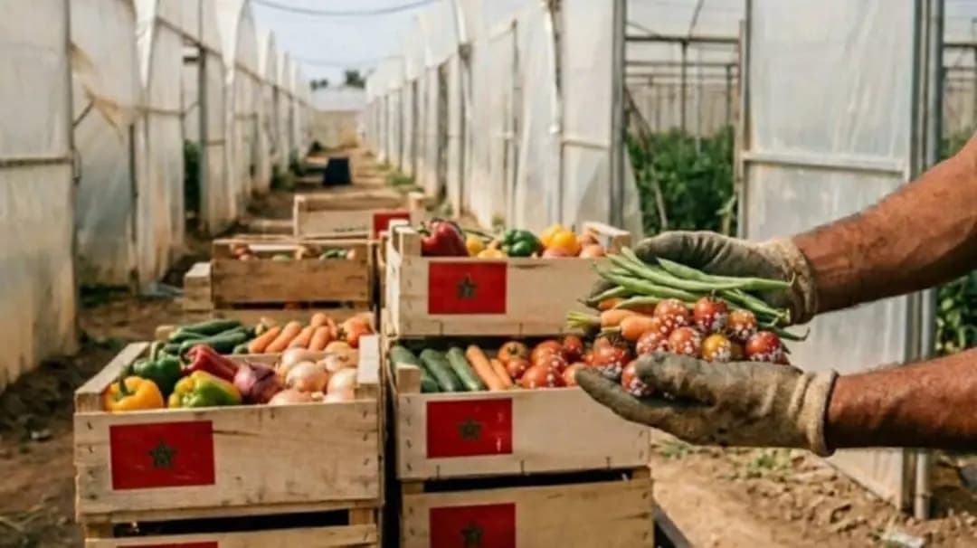 L’APS diffuse un dossier spécial sur les produits agricoles marocains contenant des substances interdites au niveau international
