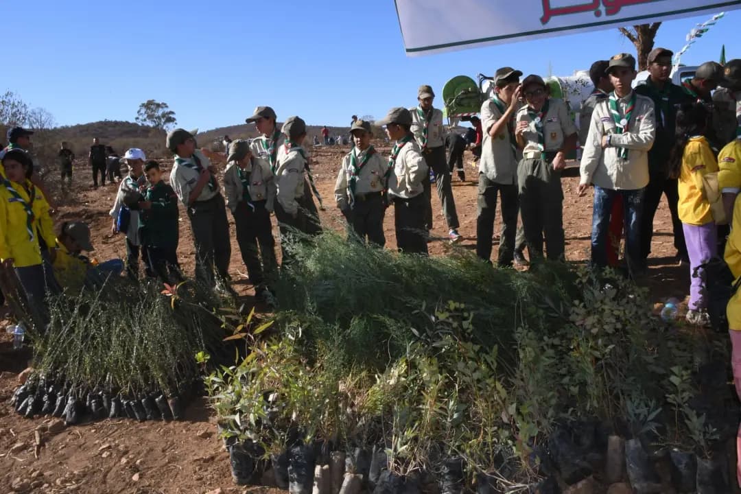 Les wilayas de l'Ouest et du Sud-Ouest au rendez