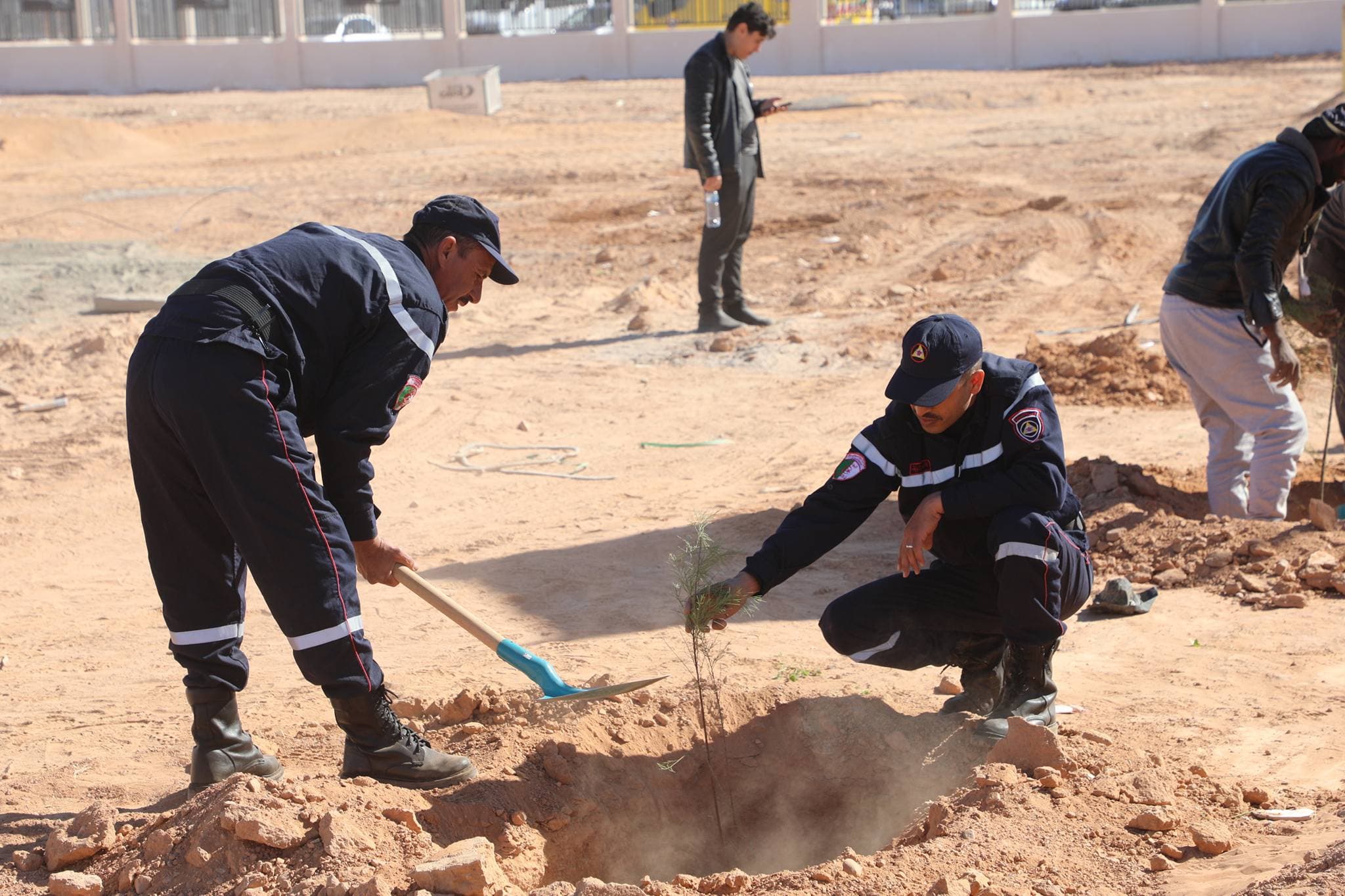 Le ministère de la Jeunesse poursuit sa grande campagne de plantation d'arbres le long de la ligne ferroviaire Béchar-Tindouf-Gara Djebilet