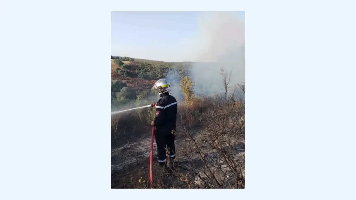 Extinction de 147 incendies sur 193 jusqu'à jeudi matin