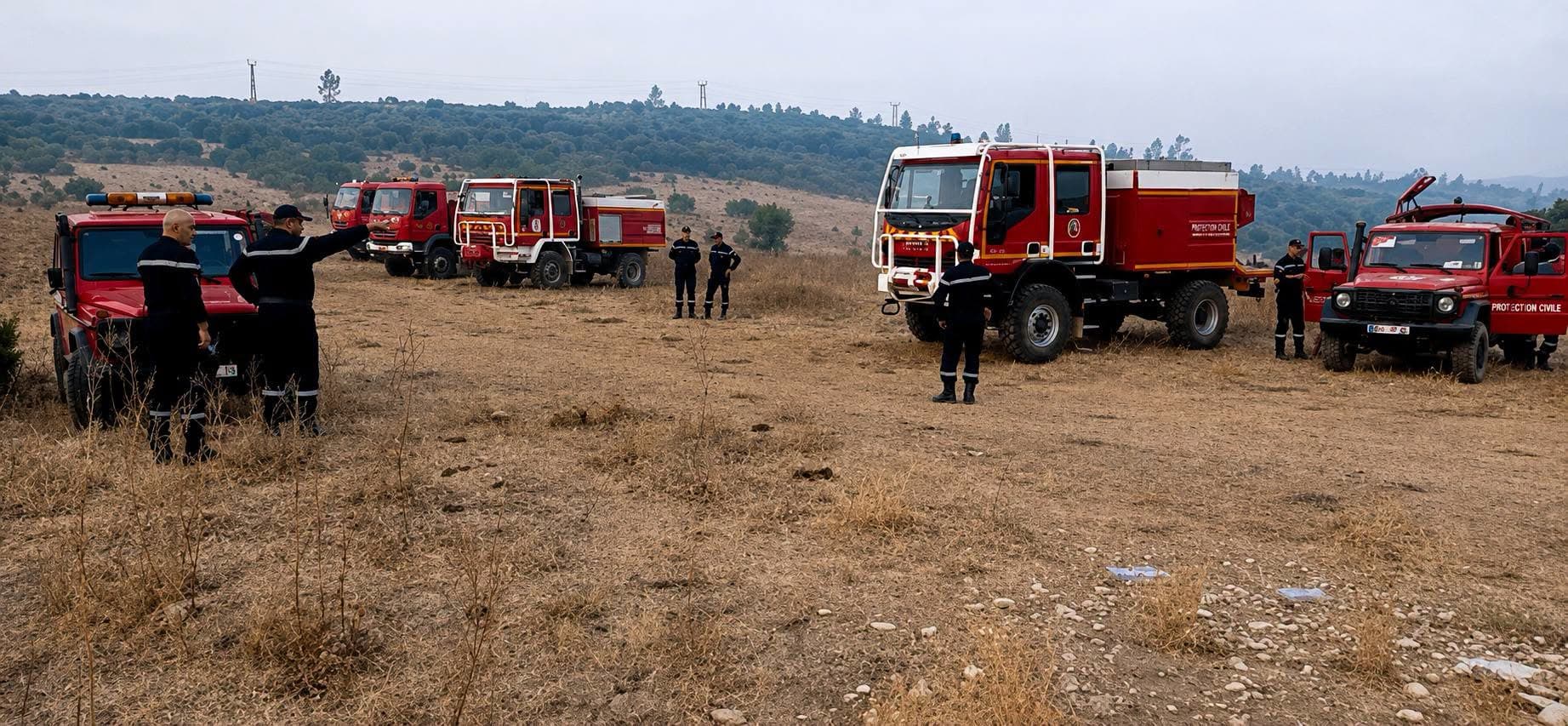 Annaba : installation de deux centres opérationnels pour renforcer le suivi
et la lutte contre les feux de forêt dans les communes de Seraïdi et Oued
El Aneb