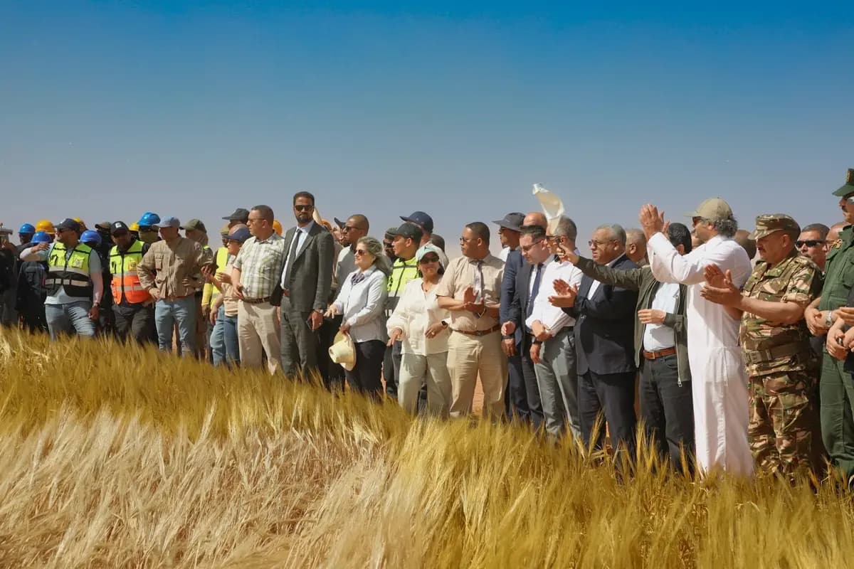 Lancement de la moisson d'orge dans le cadre du projet intégré algéro-qatari "Baladna"
