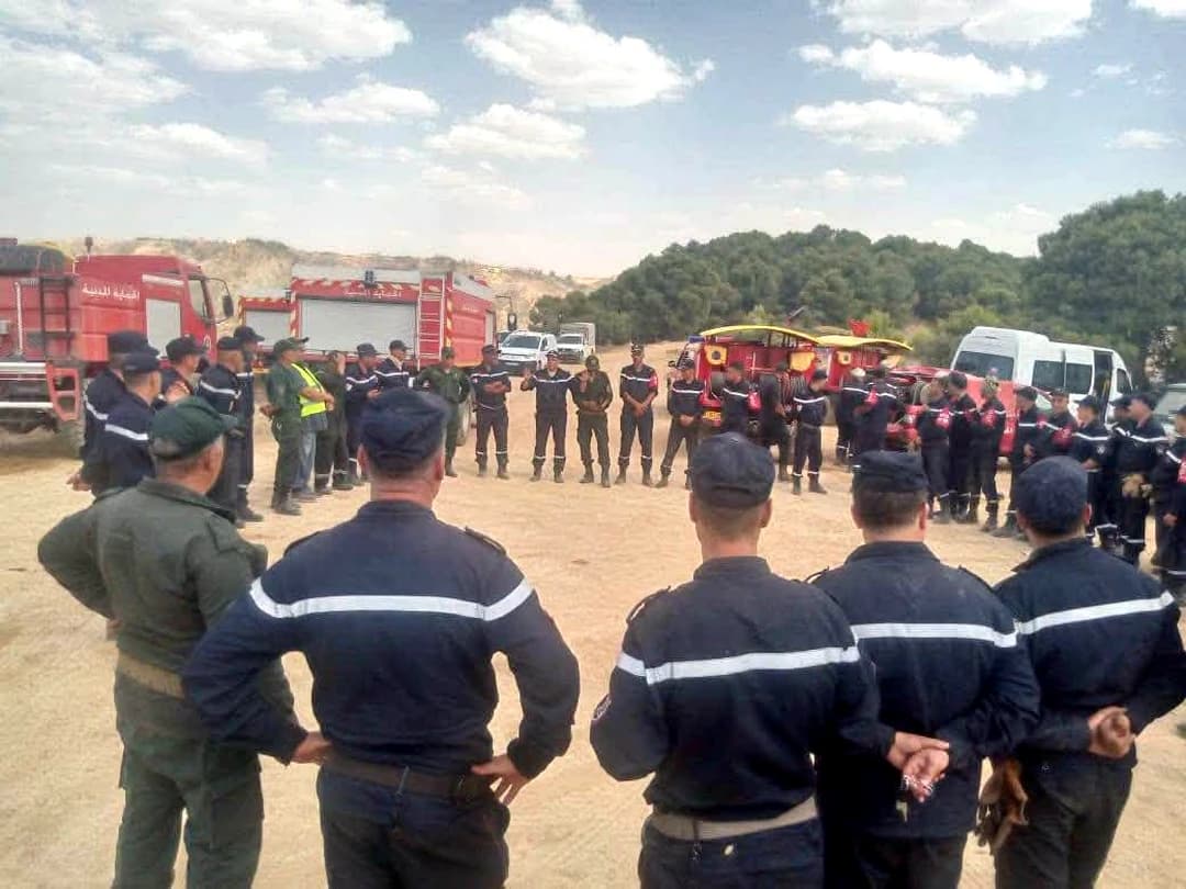 Poursuite des opérations d'extinction des incendies de forêt à travers le pays avec d'importants moyens humains et matériels mobilisés