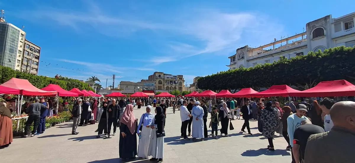 Les floralies de Blida, une opportunité pour les visiteurs d'acquérir des notions en jardinage