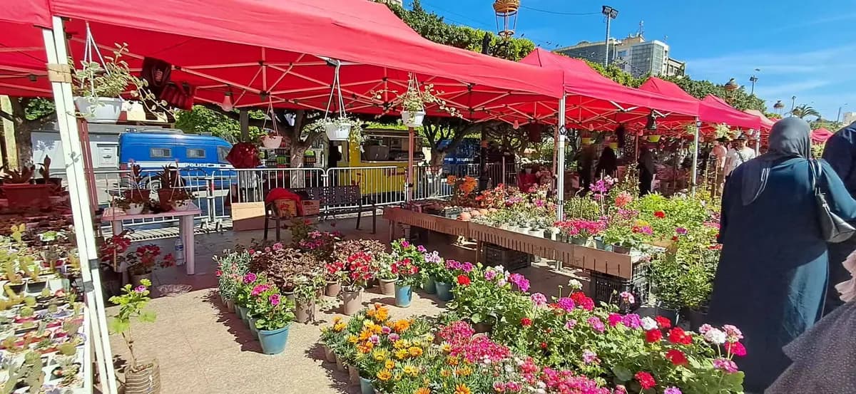 Les floralies de Blida, une opportunité pour les visiteurs d'acquérir des notions en jardinage