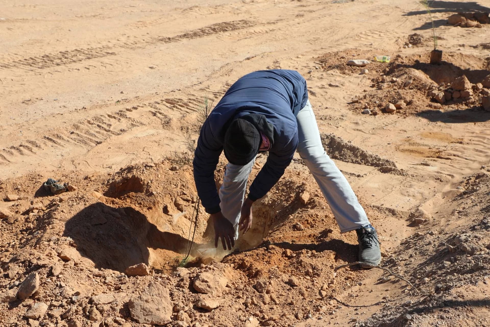 Le ministère de la Jeunesse poursuit sa grande campagne de plantation d'arbres le long de la ligne ferroviaire Béchar-Tindouf-Gara Djebilet