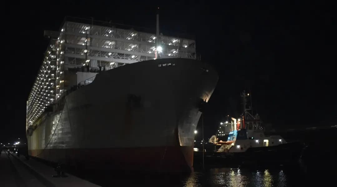 Arrivée de plus 81.000 moutons de Roumanie au port de Djen Djen