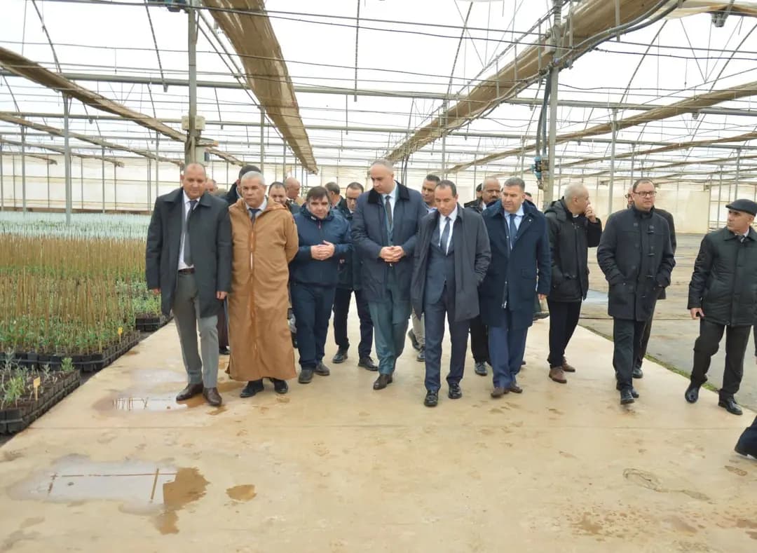 Une délégation de la commission de l’Agriculture et du Développement rural du Conseil de la Nation inspecte des projets agricoles