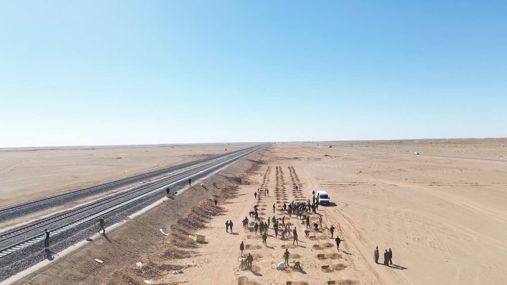 Le ministère de la Jeunesse poursuit sa grande campagne de plantation
d'arbres le long de la ligne ferroviaire Béchar-Tindouf-Gara Djebilet