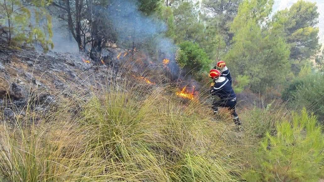 Poursuite des opérations d'extinction des incendies de forêt à travers le pays avec d'importants moyens humains et matériels mobilisés