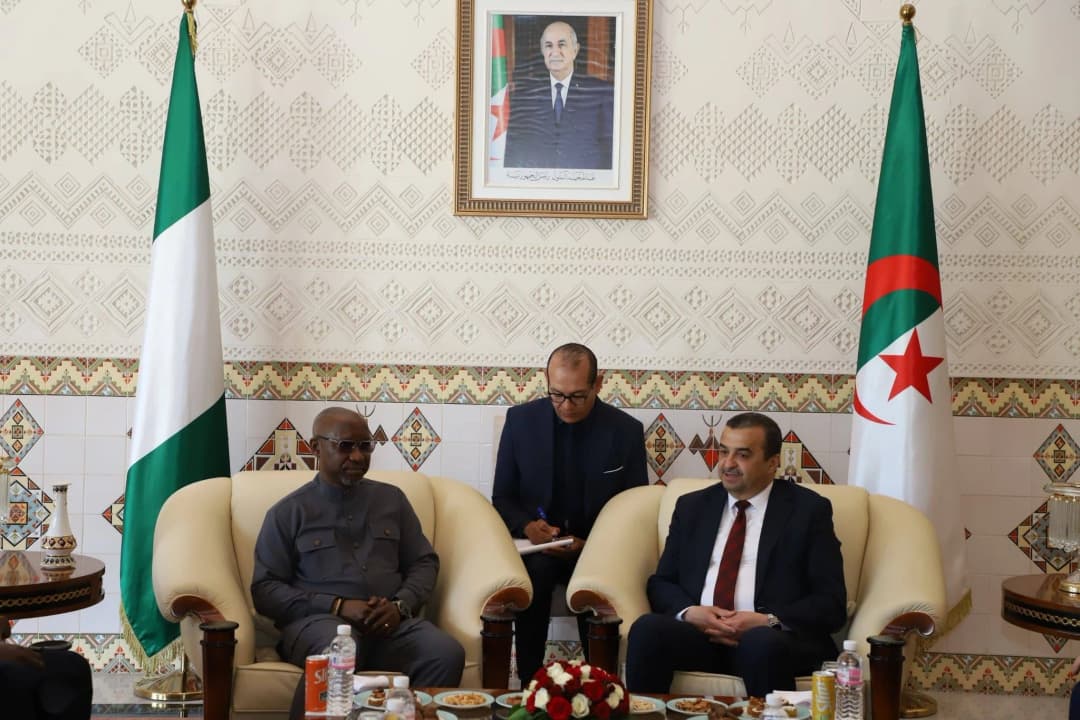 Le ministre d'Etat nigérian des Ressources pétrolières en charge du Gaz en visite de travail en Algérie
