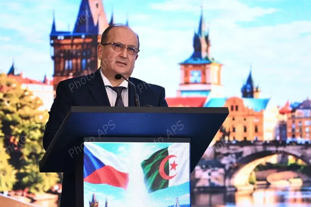 Sifi Ghrieb appelle à explorer de nouveaux domaines de coopération