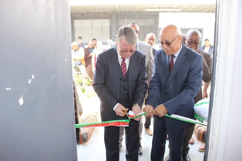 В Университете Касди Мербах открыт российский уголок в Доме искусственного интеллекта