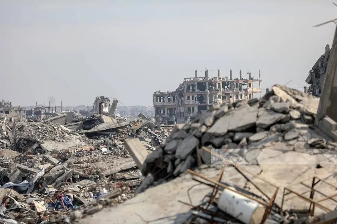 число жертв 