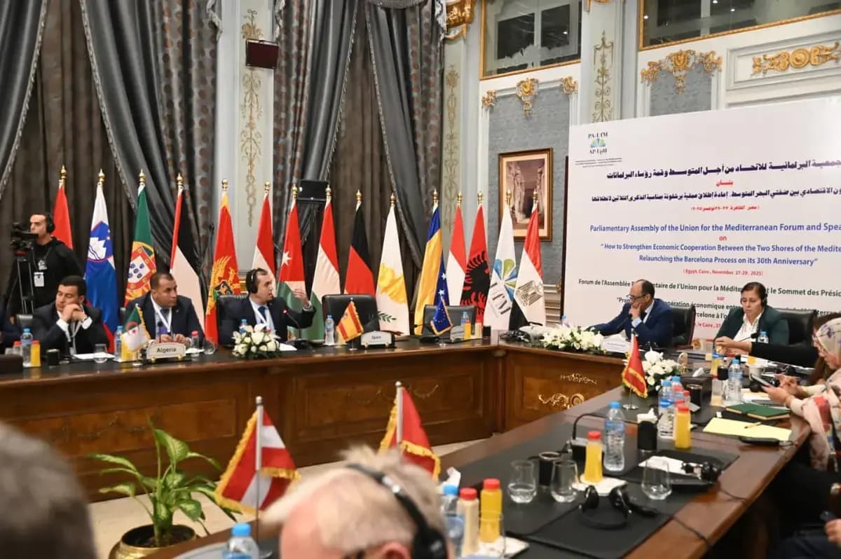 Делегация ННАс в Каире