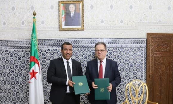 Сотрудничество