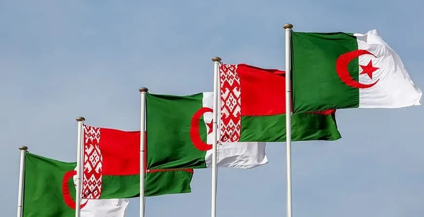 Алжир Беларусь