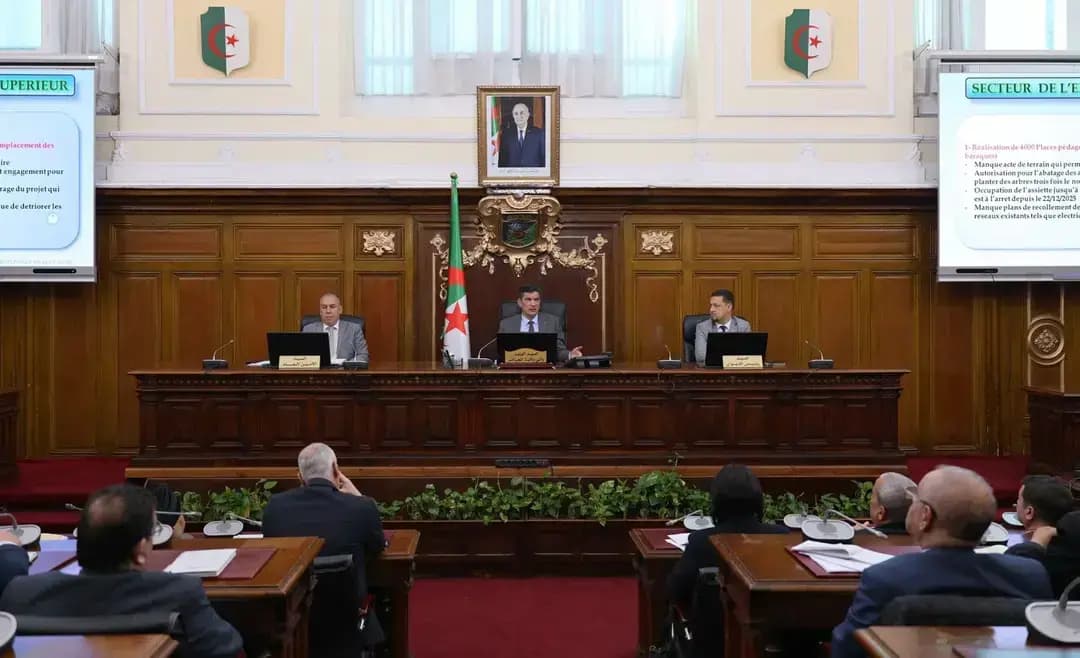 تاويلايت ن دزاير: يسلوي رابحي تيمليليت ن وسقامو اسلكمان