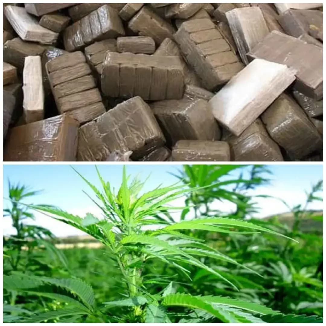 مروك ذ تاماشينت ن ييكلوان ايتڨزن ثاغليسث ثانماضالت ذ ثمناضانت 