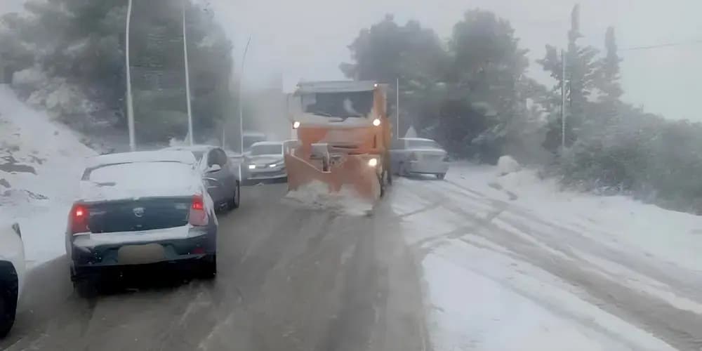 مناو ن يبرذان إي يصكرن غف تغژينت ن وخصار ن تڨناوت