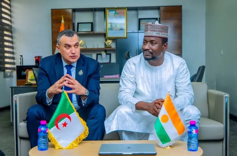 لزاير-نيجير