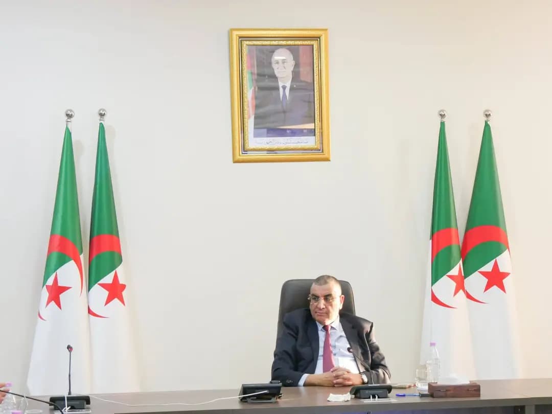 Mass Djellaoui yesselwi sen n tɣimiyin n umahil ɣef uḍfar n usnas n yisenfaren n yizireg abruzzlan d usgeɛmer n usagen n Ɛennaba