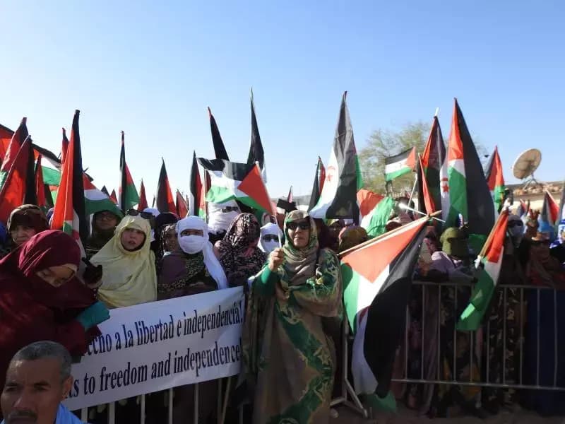 Amɣiwan Awniri deg Uzɣar: Azref n weɣref awniri deg « ugguccelman » ur iqebbel ara asawem